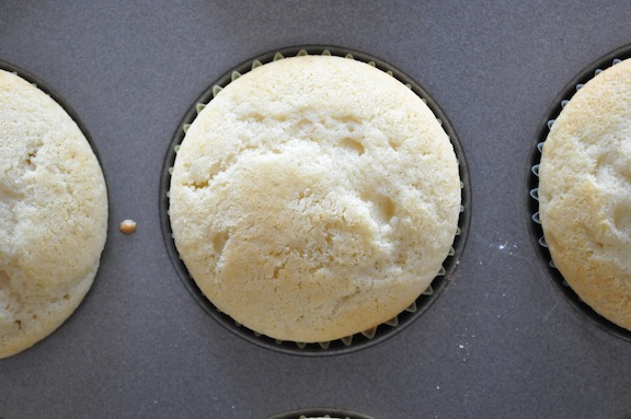 Raw Cupcake Raw Cupcake